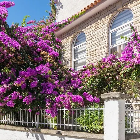 Rajna Biograd Na Moru