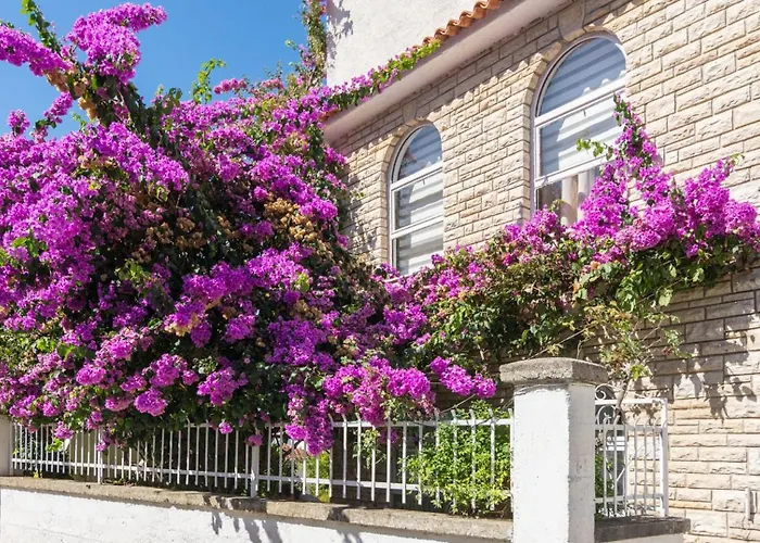 Rajna Biograd Na Moru